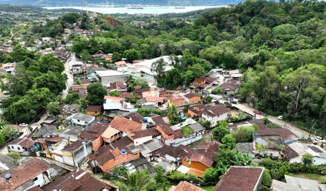 Prefeitura de Ilhabela regulamenta poda de árvores em áreas urbanas e reforça proteção ambiental