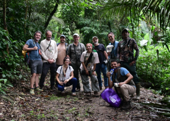 Turismo de observação de aves coloca Ilhabela na rota internacional do ecoturismo