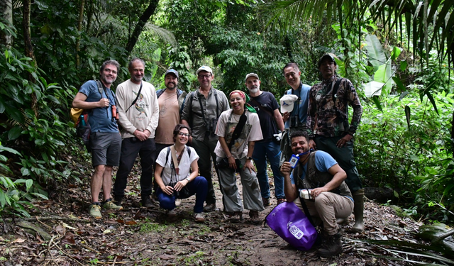 Turismo de observação de aves coloca Ilhabela na rota internacional do ecoturismo