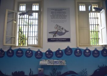 Prefeitura de Ilhabela inaugura Sala das Baleias no Museu Náutico nesta sexta-feira (12)