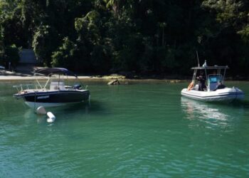 Prefeitura de Ilhabela reforça fiscalização e cria canal de WhatsApp para denúncias durante temporada de baleias