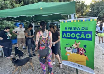 Feira de adoção do CRA garante novos lares para seis cães e gatos em Ilhabela