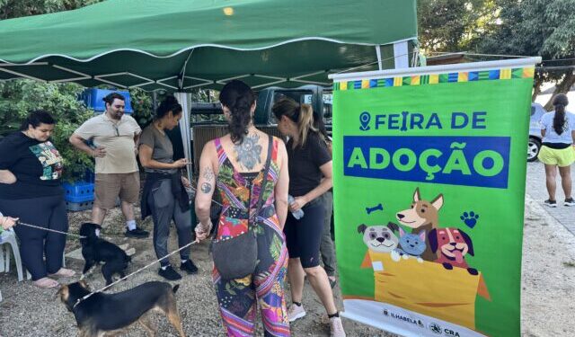 Feira de adoção do CRA garante novos lares para seis cães e gatos em Ilhabela