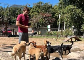 Um passeio pode mudar uma vida: campanha do Centro de Referência Animal de Ilhabela conquista moradores e dá uma nova chance aos cães do município