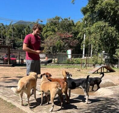 Um passeio pode mudar uma vida: campanha do Centro de Referência Animal de Ilhabela conquista moradores e dá uma nova chance aos cães do município