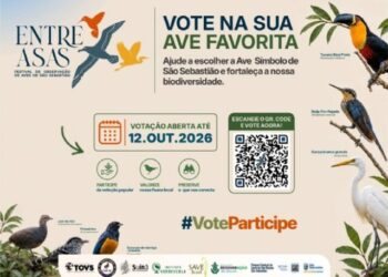 São Sebastião mantém votação aberta para escolha de Ave Símbolo do município até 12 de outubro