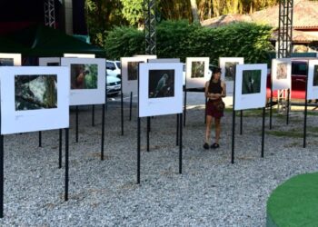 Exposição fotográfica abre 8ª edição do Ilhabela Bird Week