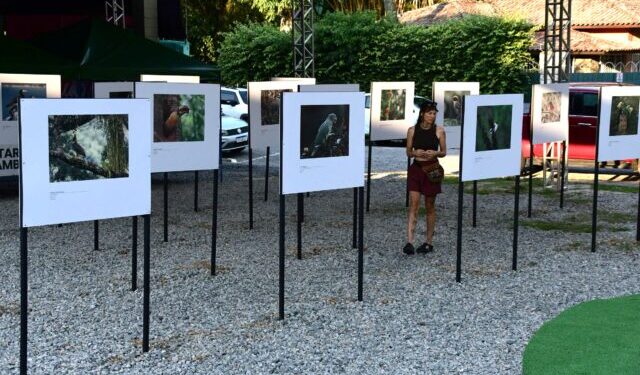 Exposição fotográfica abre 8ª edição do Ilhabela Bird Week